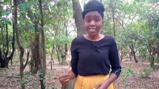 Don't Pass Away With this Perishing World