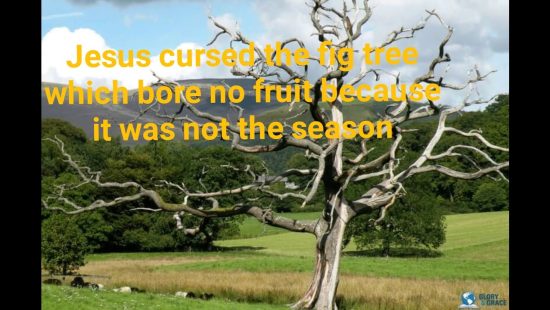 The Unfruitful Christian Has Great Reason to Fear