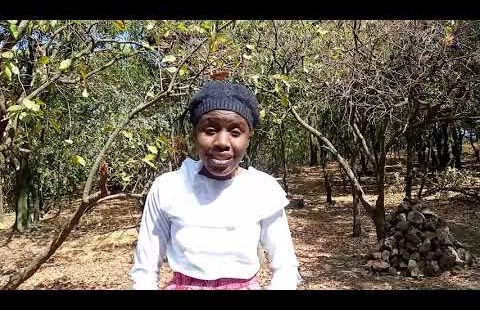 ETERNAL FATE OF ABORTED BABIES,MISCARRIED BABIES,AND BABIES WHO DIE AT BIRTH