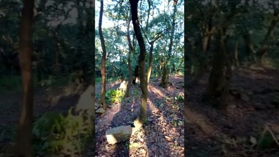 This man spends nights at the prayer mountain seeking God