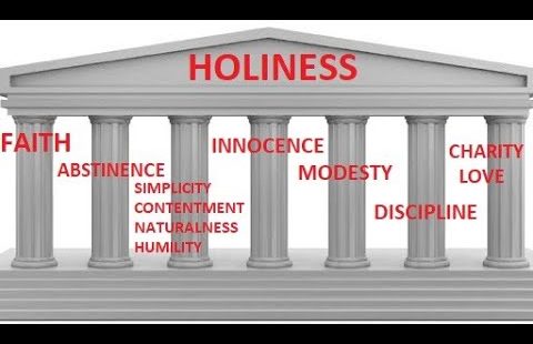 7 Pillars of Holiness