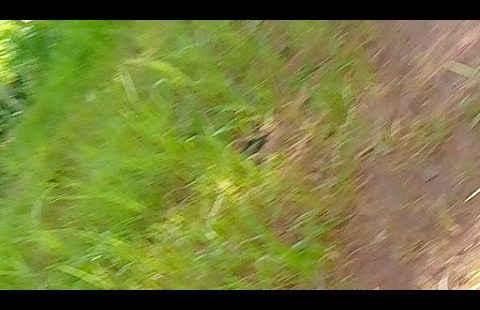 God's Goodness in Grief