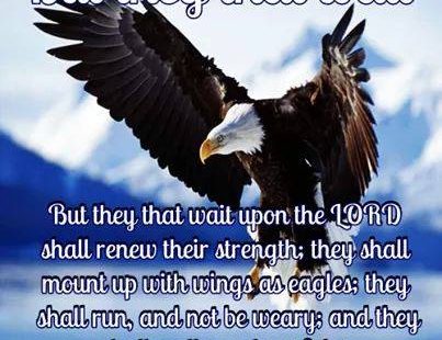 CLAIM GOD'S PROMISES TOWARDS YOU.