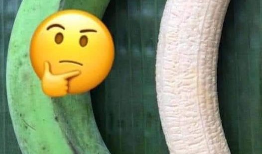 Copied from my sister, Susan Matthew….