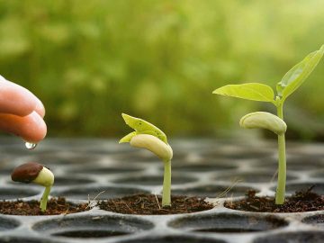 SPIRITUAL GROWTH