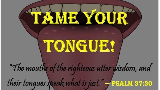 Sometimes it’s better to say nothing, even if it makes you look foolish,than to speak carelessly because our words do not vanish after they are spoken,they are recorded and will either condemn or aqui…