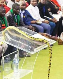 Pastor uses live snake to perform miracles in church